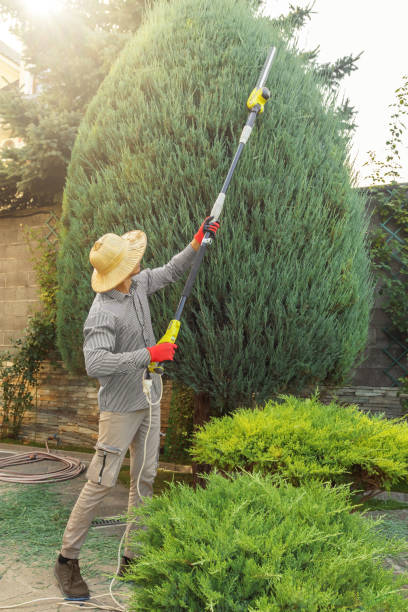 Best Pest Control for Lawns  in Redby, MN